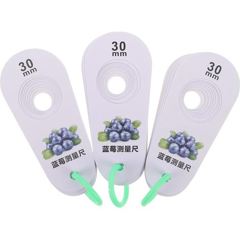 GLEAVI - Jeu de 3 jauges diamètre pour fruits Outil mesure manuel (1/5)