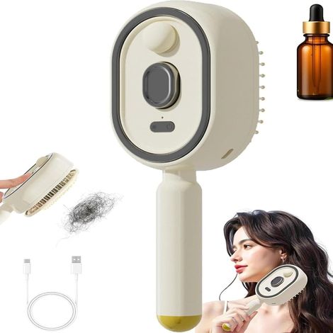 Brosse vapeur lissante 2 en 1 rechargeable - Spray d'eau - Massage coussin d'air rétractable - Anti-frisottis - Crème