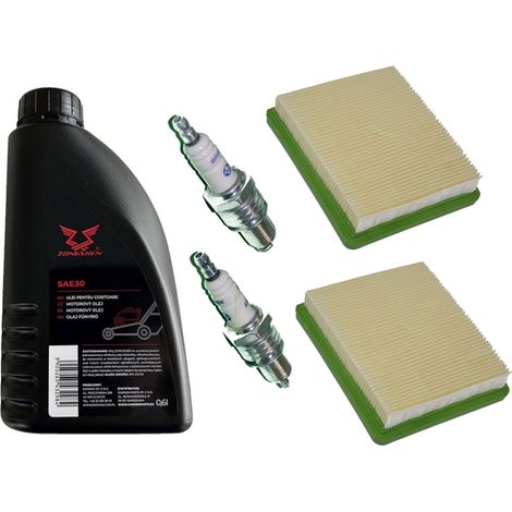 2 X bougie d’allumage + 2 X filtre + huile SAE30 pour Hyundai HYM 430 460 480 530 SPE SPR SPER (1/4)