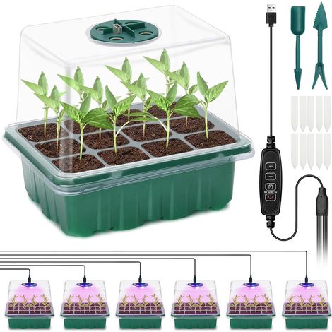 Full Spectrum Light Seedling Boxes for Greenhouse Garden Home Seedling 6 Pcs Greenhouse for Seedlings, Indoor Tray with Raised Lids/Vents, Grow Box for Indoor Use (1/5)