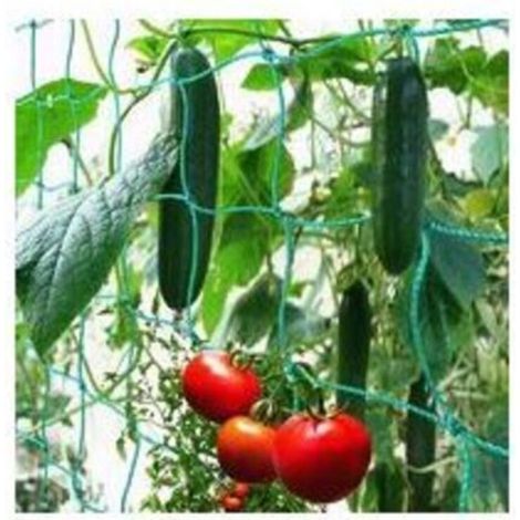 Filet à Ramer avec Maillage Large pour Une récolte particulière Bonne de concombres, tomates et Autres légumes et Plantes grimpantes – Dimensions : 1.82.7m (1/5)