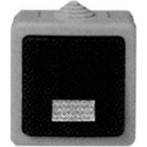 Legrand 091612 - PLEXO 55 Poussoir lumineux 2A MONOBLOC