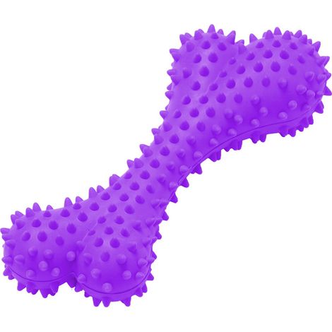 Jouets à mâcher pour brosse à dents pour chien, soins bucco-dentaires pour chien, couleurs aléatoires (1/3)