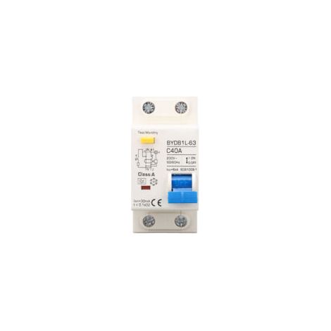 Disjoncteur unipolaire 40A 30mA Protection contre les fuites Type A Tension AC 230V Matériau PA66 résistant à l'usure