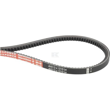 Cinghia trapezoidale AVX 13x1310 Optibelt OPTIBELT AVX131310TM (1/3)