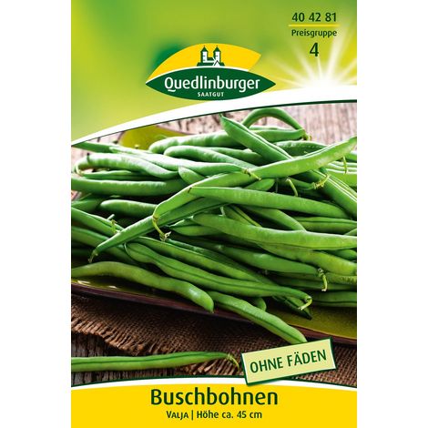 Quedlinburger Buschbohnen Valja - Gemüsesamen (1/2)