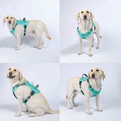 Filiyano-Harnais tactique pour chien, harnais anti-traction réglable, résistant et respirant avec poignée de contrôle - Turquoise XL (1/5)