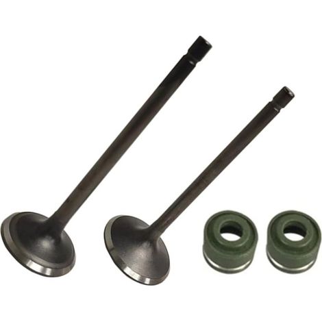 Joint d'huile de rechange pour soupapes d'échappement de moteur de moto CG250 250CC (1/5)