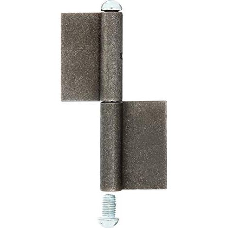GAH-Alberts 414429 Cerniera per cancelli Metallici, Acciaio, Ø 9 mm, Höhe: 120 mm (1/2)