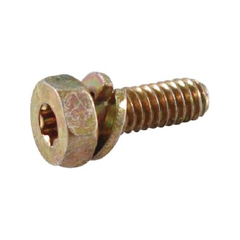 Tornillo hexagonal original BRIGGS & STRATTON para motor de cortacésped 691681