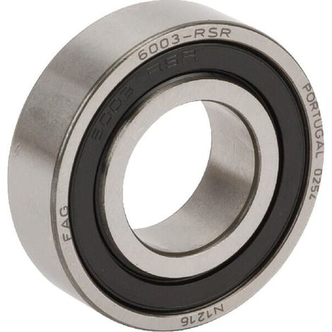 Rodamientos de bolas estriados FFAG INA 6003RSR
