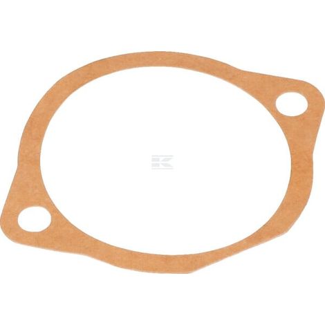 Junta 0,1 mm MASCHIO M66100125R