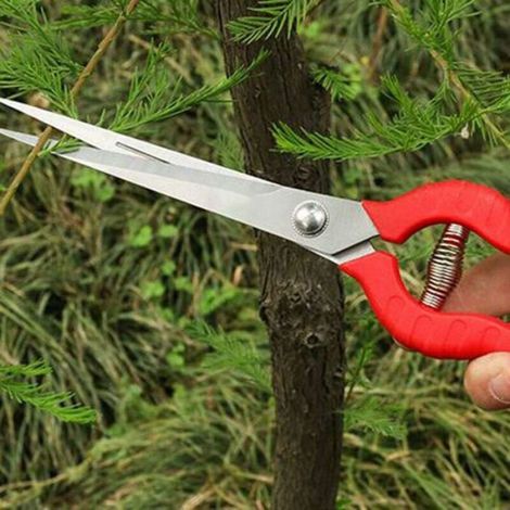 Sécateur - Lame 96 mm - Acier Inoxydable - Poignées Antidérapantes - Pour Taille De Plantes Et Récolte De Fruits - 1 Pièce (1/5)