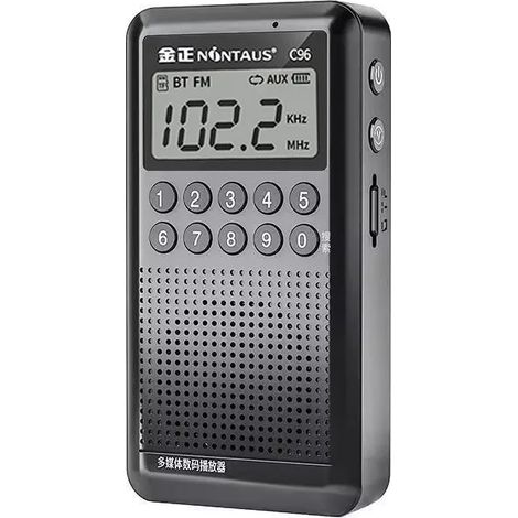 Mini radio FM de poche, récepteur radio numérique portable, enceinte Bluetooth rechargeable, enregistreur externe/intégré, carte TF, lecture AUX (1/5)