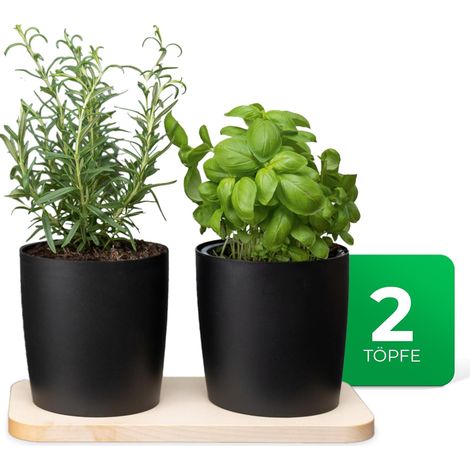 Ensemble de 2 pots à herbes aromatiques Novaliv élégants avec base en bois et 2 pots à herbes pour chaque rebord de fenêtre, pour herbes aromatiques