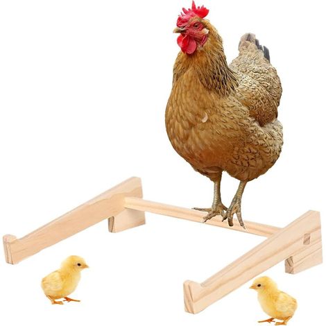 Hühnerstall-Sitzstange – Holz-Sitzstange für Küken – Stange (1/5)