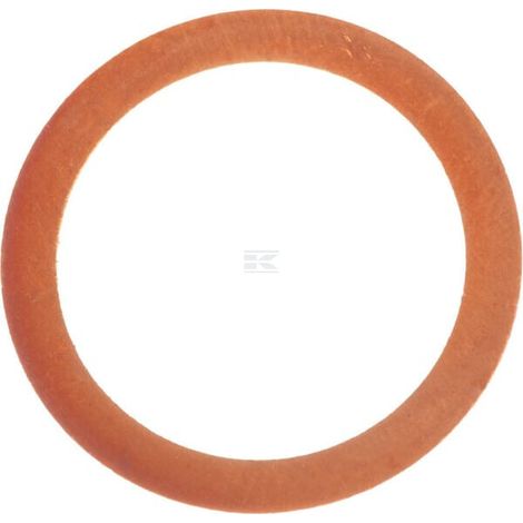 Dichtring CNH 571601