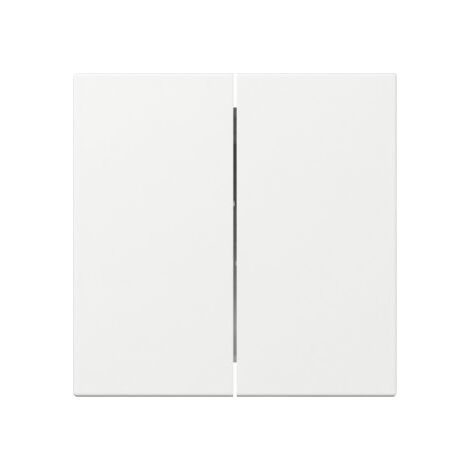 Gira Wippe 349503 2f gerade Sys.55 rws