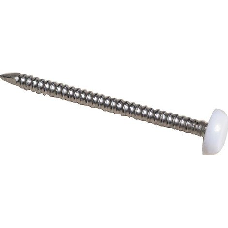 Pointes annelées Inox A4 tête plate surmoulée de PVC blanc Ø 2 mm longueur 30 mm B250 - DON QUICHOTTE (1/3)