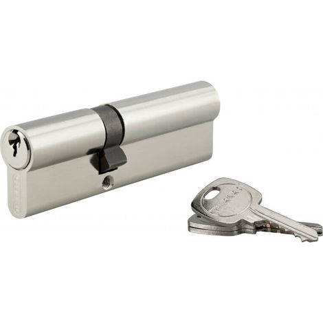 Cylindre de serrure 40x60mm – Protection anti-arrachement – 3 clés fournies – Pour portes de cabanons (1/4)