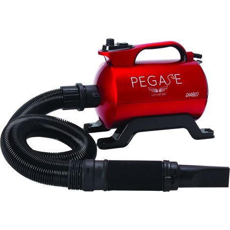 Séchoir pulseur pour chien 2800W – Débit d'air 117L/s – Variateur de vitesse et température – Portable avec flexible 2,2m