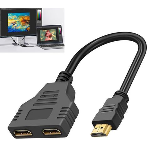Rallonge HD-1 Cable, Switch HD-1, Splitter Double Voies - Répartiteur 1 Entrée 2 Sorties - Répartiteur de Câble pour HDTV HD, LED, Moniteur LCD et Projecteurs, Adaptateur pour Étendre 2 Moniteurs (1/5)