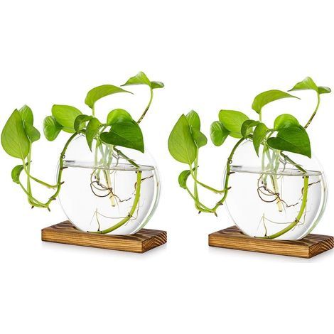 Jardinière en Verre à Suspendre De Table Pcs De 2 Station De Propagation Vase à Bouton De Fleur Moderne en Support en Bois pour Plantes Hydroponiques Boutures Bureau (1/5)