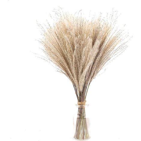 Ensemble de 30 pièces de phragmites séchés artificiels de 40 cm, style bohème, pour la décoration intérieure, vases et bouquets blancs de mariage. (1/5)