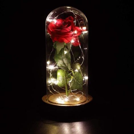 Rose Artificielle - - Rose Eternelle sous Cloche - LED - Pétales en Soie - Décoratif (1/4)