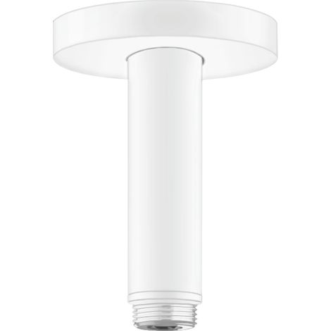 hansgrohe conexión de techo S 100 mm, 27393700 (1/3)
