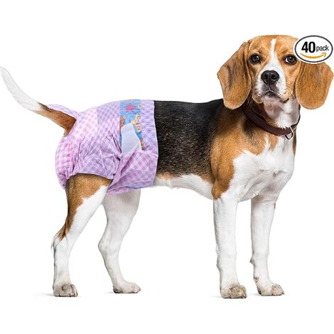 Couches Jetables Chienne Femelle, S Tour de Taille 26-46 cm, Couche Chat Couches chiennes femelles avec taille élastique réglable chaleur, couches étanches avec indicateur d'humidité (1/4)