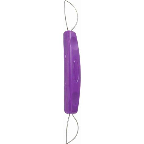 Éplucheur à Raisins Violet Mini Portable en Acier Inoxydable pour Cuisine (1/5)