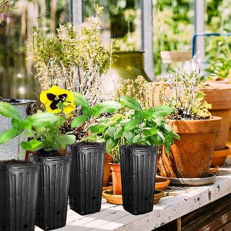 Lot de 20 pots profonds en plastique pour pépinière, décoratifs pour la maison et le jardin, pour débutants. (1/4)