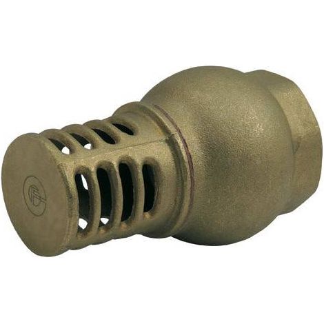 Clapet de pied crépine en laiton - montage vertical PN16 3/4'' (1/2)