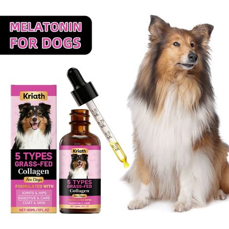 Gouttes de collagène pour chiens : soin des articulations, soutien doux de la peau et du pelage, convient aux animaux de tous âges – 60 ml (1/5)