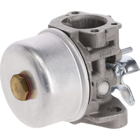 Carburateur BRIGGS & STRATTON 591309 (1/5)