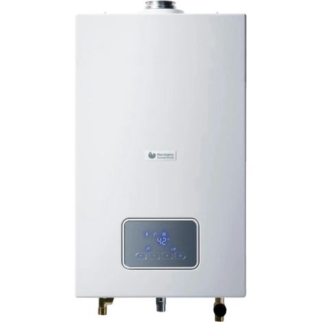 Chauffe-eau à gaz Hermann Saunier Duval Opalia F 17, 17 L/min