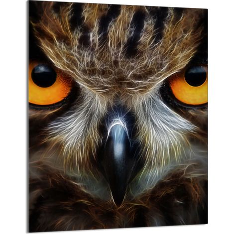 Planche à découper en verre 40x52 Hibou (1/5)