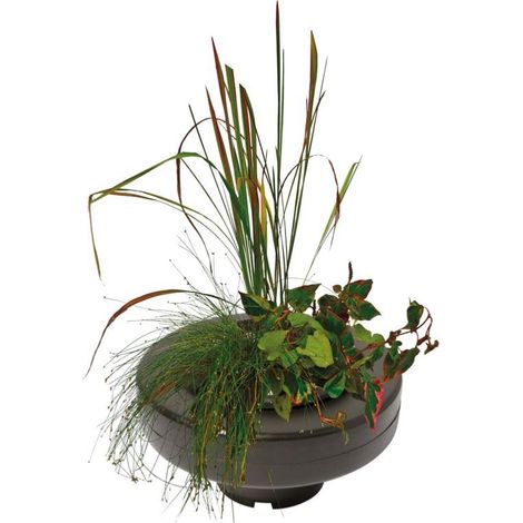 Panier flottant plante de bassin diam. 22 cm