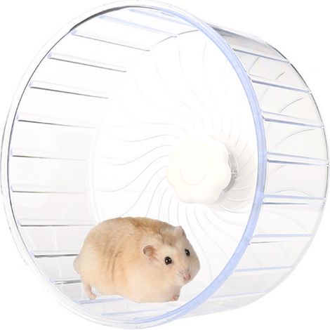 1 Roue hamster, roue silencieuse, acrylique transparent, design sans couture, pour petits rongeurs (1/5)