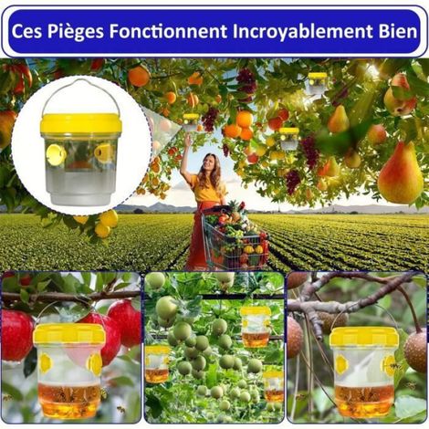 Piege Frelon Asiatique Selectif,Piege a Frelons Asiatique,Piège Frelon Asiatique,Piege Guepes Et Frelons Exterieur Tap Trap (1/4)