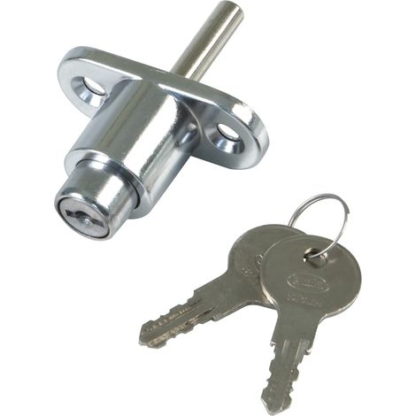 Serrure de sécurité pour fenêtres coulissantes Mod.45 Fermeture à glissière avec 2 clés + tirefonds pour l'installation En acier chromé Dimensions : 53 x 23 mm (1/5)