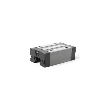 Scorrevole 0.17Kg 15Er Linea Ewellix Skf