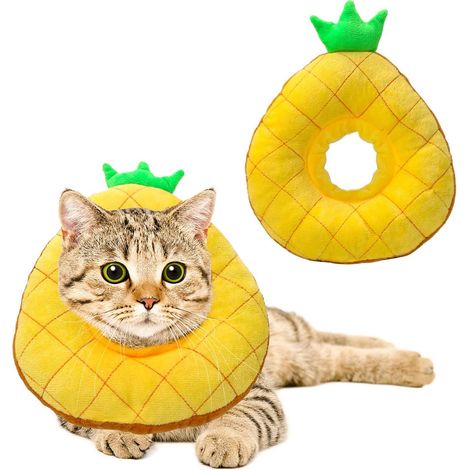 Chat anti - léchage anti - morsure Collier Collier pour animaux en conserve ananas Bague réglable - M (1/5)