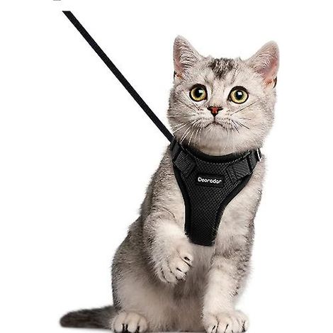 Service de table exclusif Pearl Cat avec laisse - 26 x 57 cm (1/5)