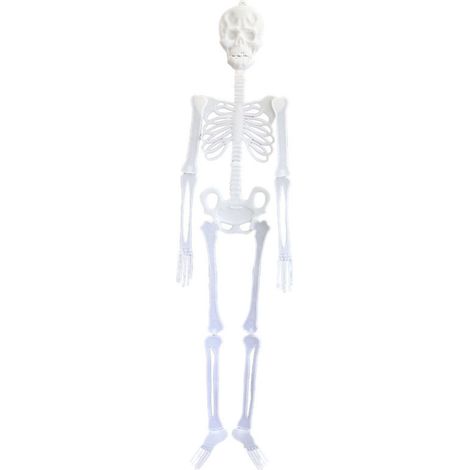 Skeleton - 120 cm - Posable - Décoration Halloween - 1 Pièce (1/5)