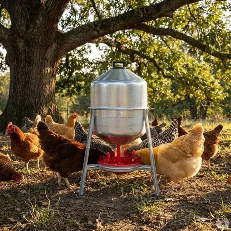 Abreuvoir poules et volailles métal galvanisé 30 L sur pieds