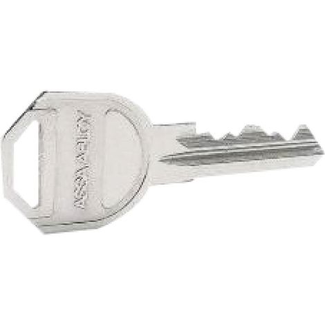 CHIAVE TESTA METALLO  6 perni- 10 pezzi  - YALE