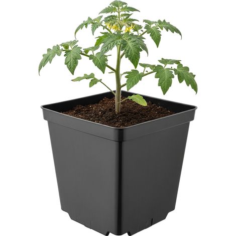 Garronda Pflanztopf Kunststoff 15 x 15 x 15 cm (2,5L) eckig mit Drainagelöchern Blumentopf robust Pflanzentopf für Garten Gewächshaus Balkon Anzucht Innen Außenbereich Schwarz GD-0199