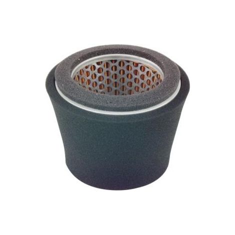 Filtro aria compatibile motore rasaerba ROBIN EY44 209-32620-07